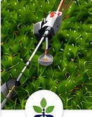 草刈り